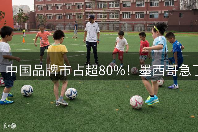 中国品牌市占超80%！墨西哥急了：受够了中国车 我们能自己造