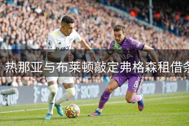 热那亚与布莱顿敲定弗格森租借条款