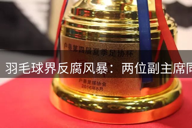 羽毛球界反腐风暴：两位副主席同日落马
