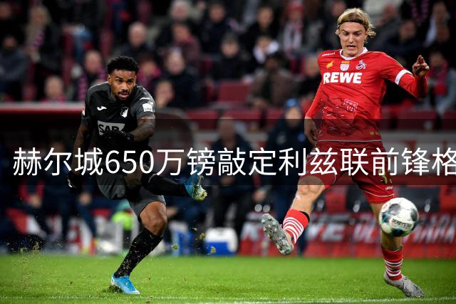 赫尔城650万镑敲定利兹联前锋格尔哈特转会